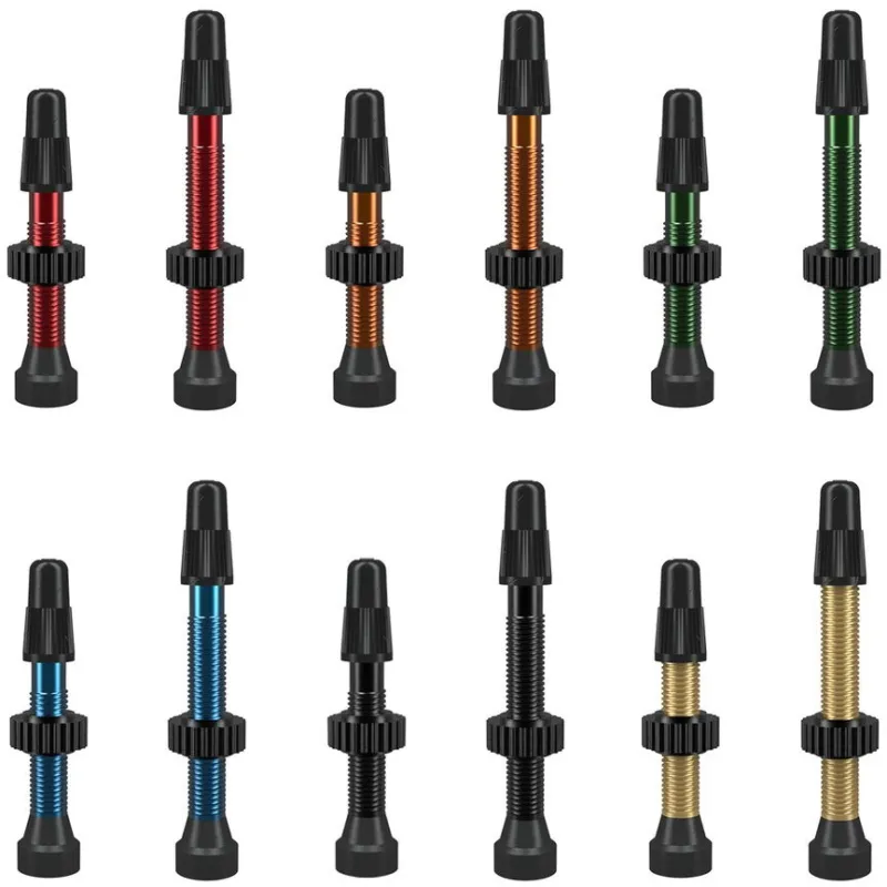 Plată sigură Set Valve WTB TCS Tubeless Presta FV, 46mm - 2 Buc