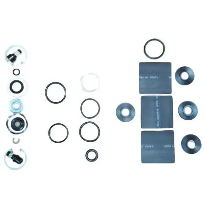 Service Rock Shox 10 Boxxer Race Service Kit - Silver Comandă acum