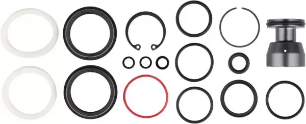 Transport gratuit KIT SERVICE ROSCKSHOX 200 HOUR/1 YEAR DOMAIN R/RC B1+