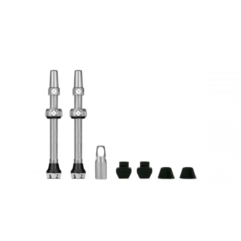 Cel mai bun preț Valve tubeless Muc-Off Tubeless Valves V2 44mm Argintiu