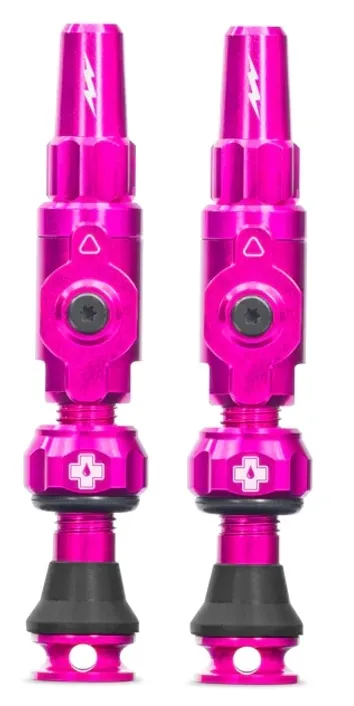 Valve tubeless Muc-Off Tubeless Valves Big Bore Lite (Small) Roz Comandă acum