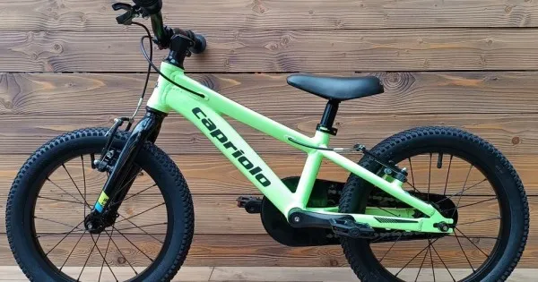 Bicicleta copii Capriolo LM 16 inch aluminiu verde 6.8 kg Cumpărături sigure