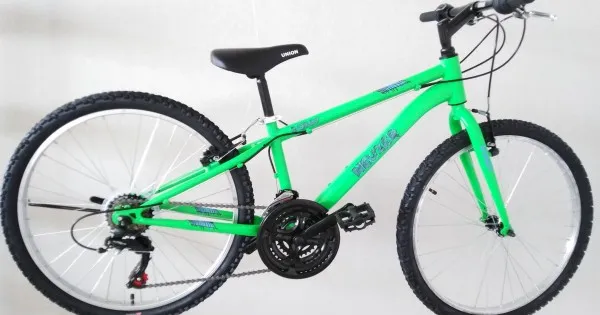 Bicicleta Neuzer Bobby 24 inch verde Preț promoțional