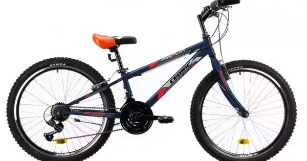 Livrare gratuită Bicicleta DHS Cedric 24 inch otel albastru