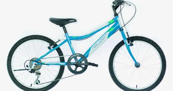 Cumpără online Bicicleta copii Neuzer Bobby 20 inch albastra