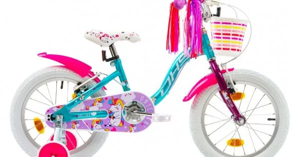 Plată securizată Bicicleta copii DHS Unicorn 16 inch albastru-roz